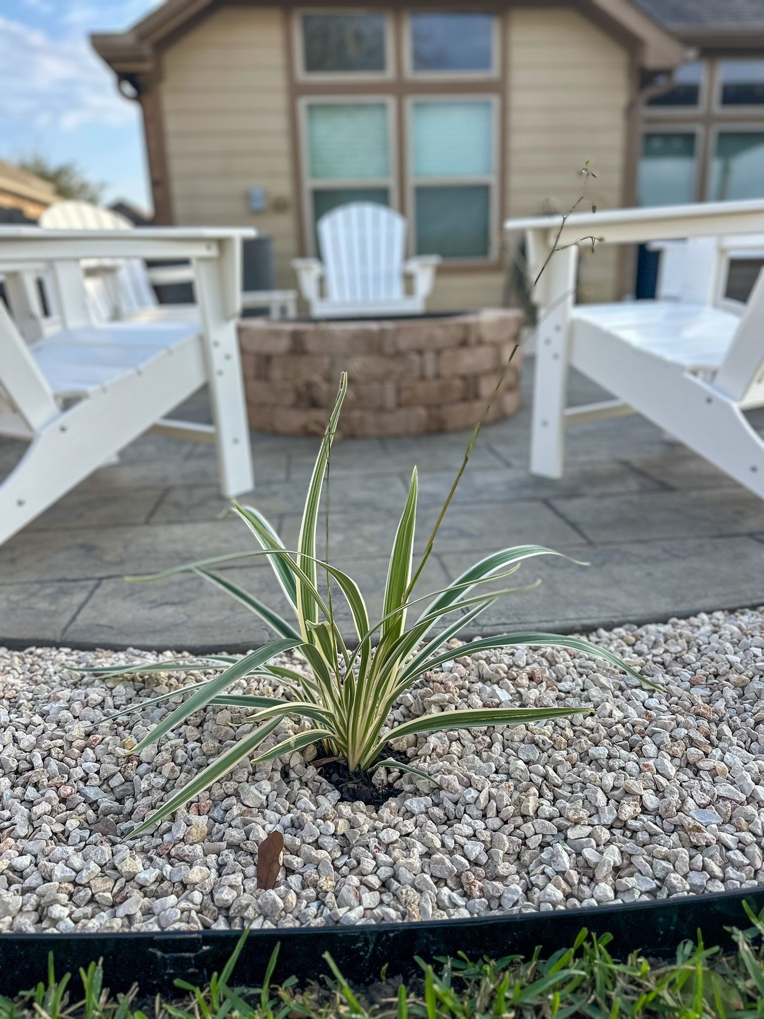 Quiet Run Backyard Transformation!