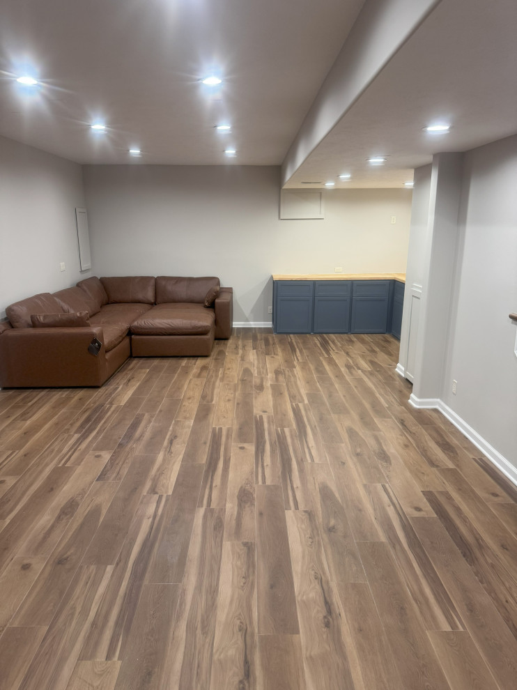 Basement Family Room