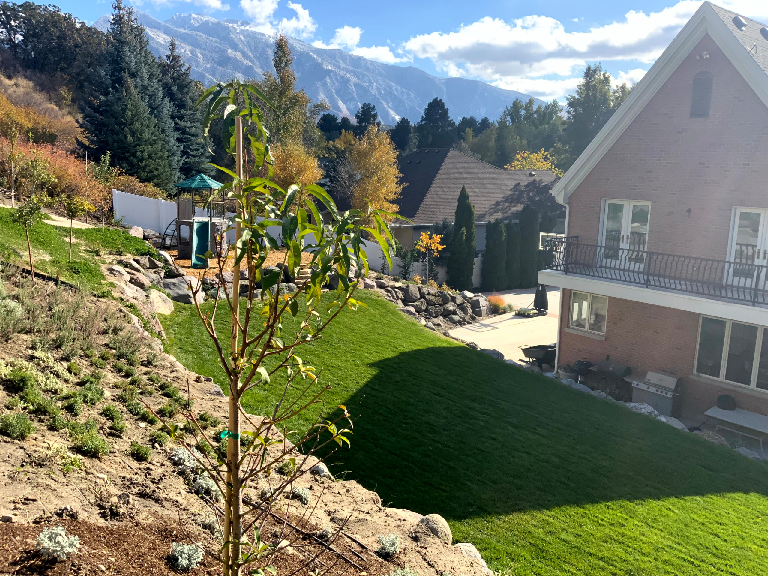 Mountain Meadow Garden