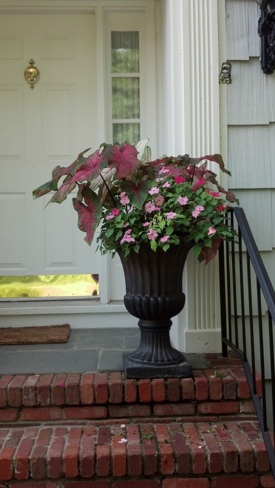Inspiration for a traditional front yard shaded garden for summer in New York with a container garden.