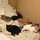 jacqueline_webb52