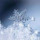 christine_rhinehart