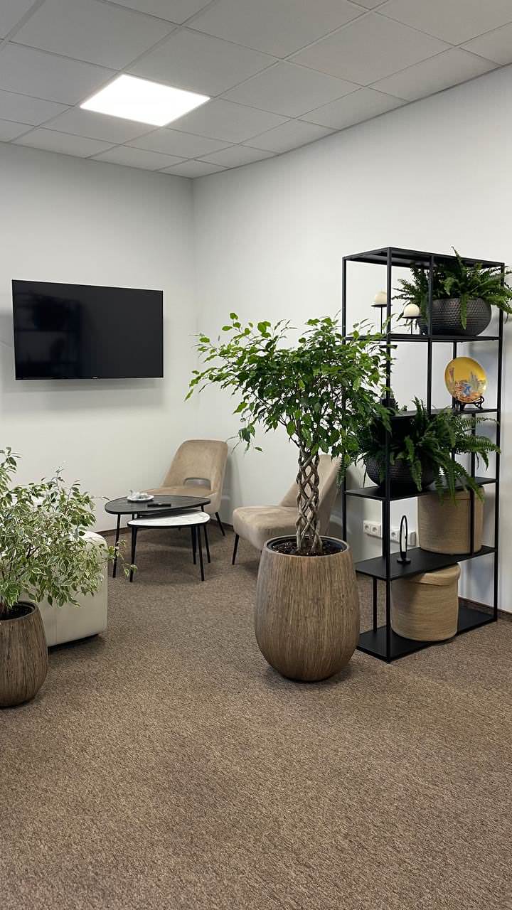 Озеленение офиса компании "ROBE GARDEN"