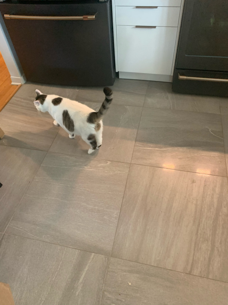 Should I use the same tile in Kitchen and Entry?