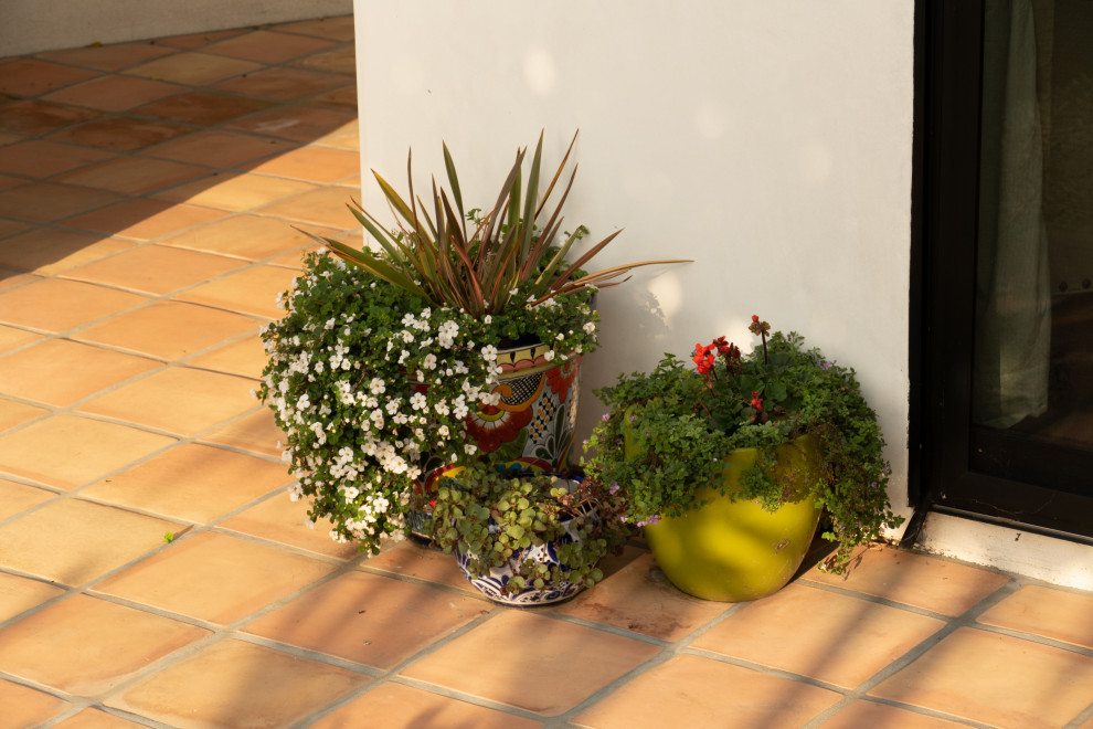 Réalisation d'une terrasse avec des plantes en pots latérale méditerranéenne de taille moyenne.