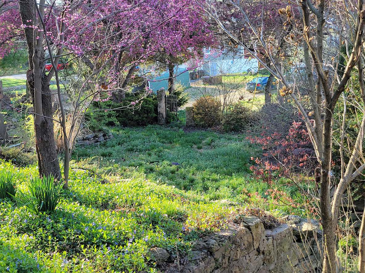 Spring Gardens $