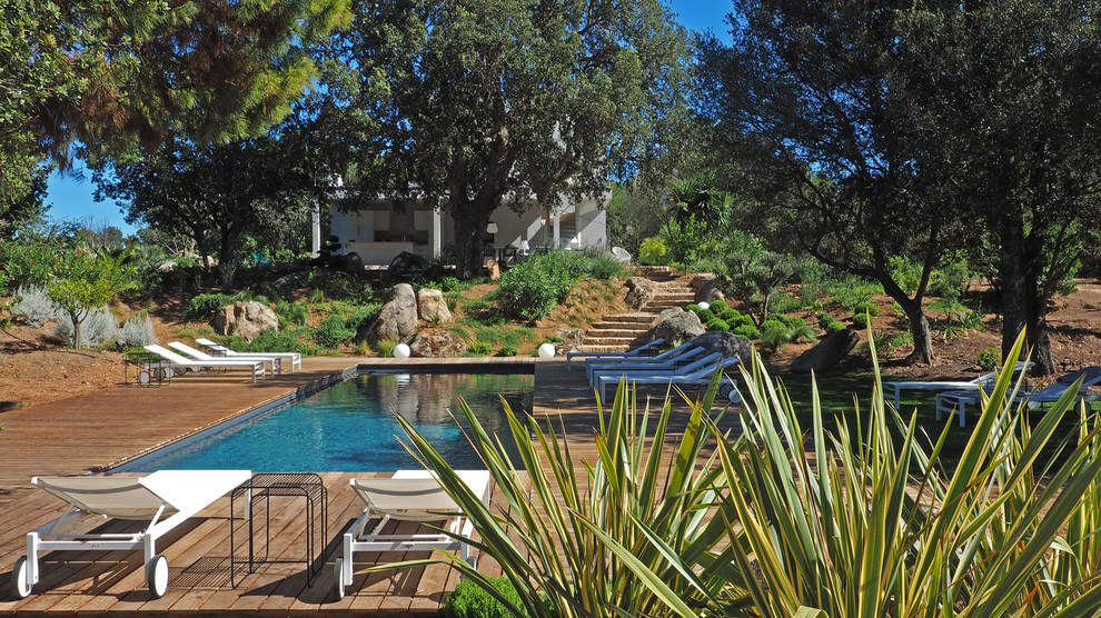 Photo of a mid-sized contemporary backyard rectangular lap pool in Corsica with decking.