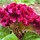 Last commented by bethany zone 9B