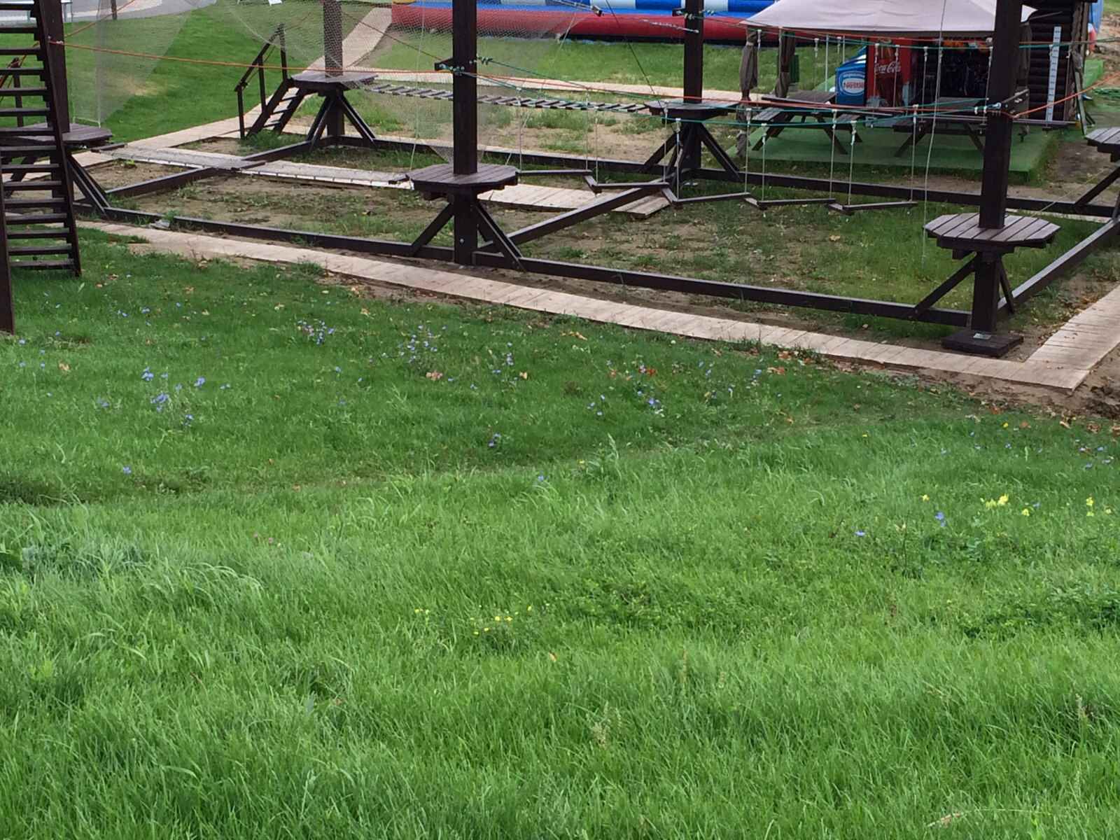 Мега Самара