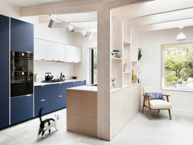 Framework House scandinavian-kitchen