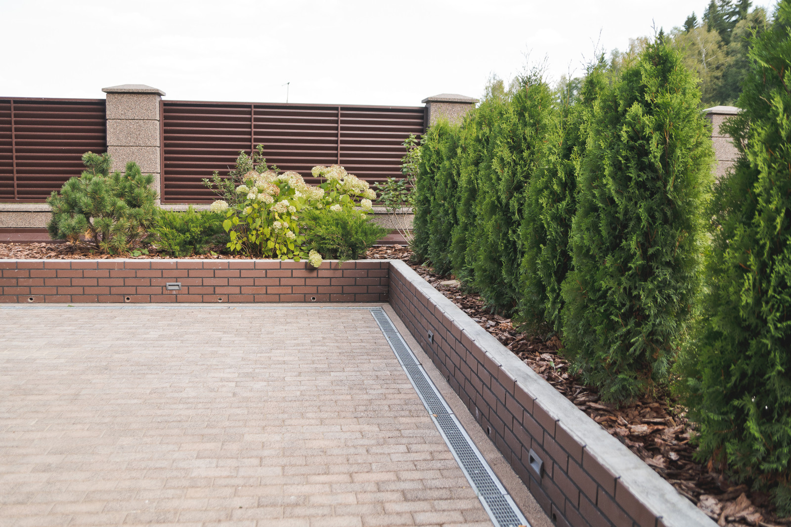 Сад на краю леса