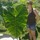 florine_ravidat