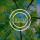 webuser_625306920
