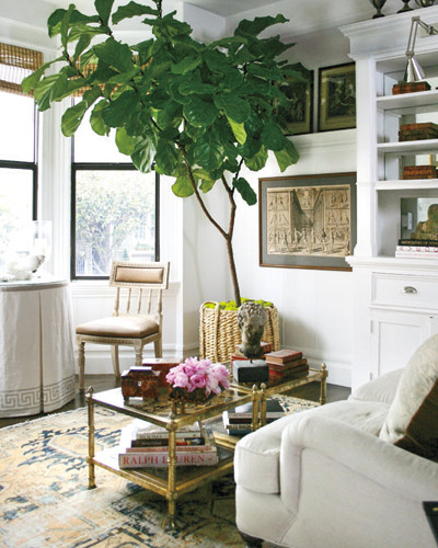 Client Projects contemporary-living-room