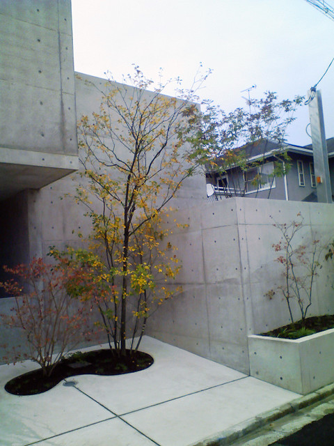 コンクリート打ちっぱなしの家 玄関３ Modern Kyoto By 庭 遊庵 Houzz