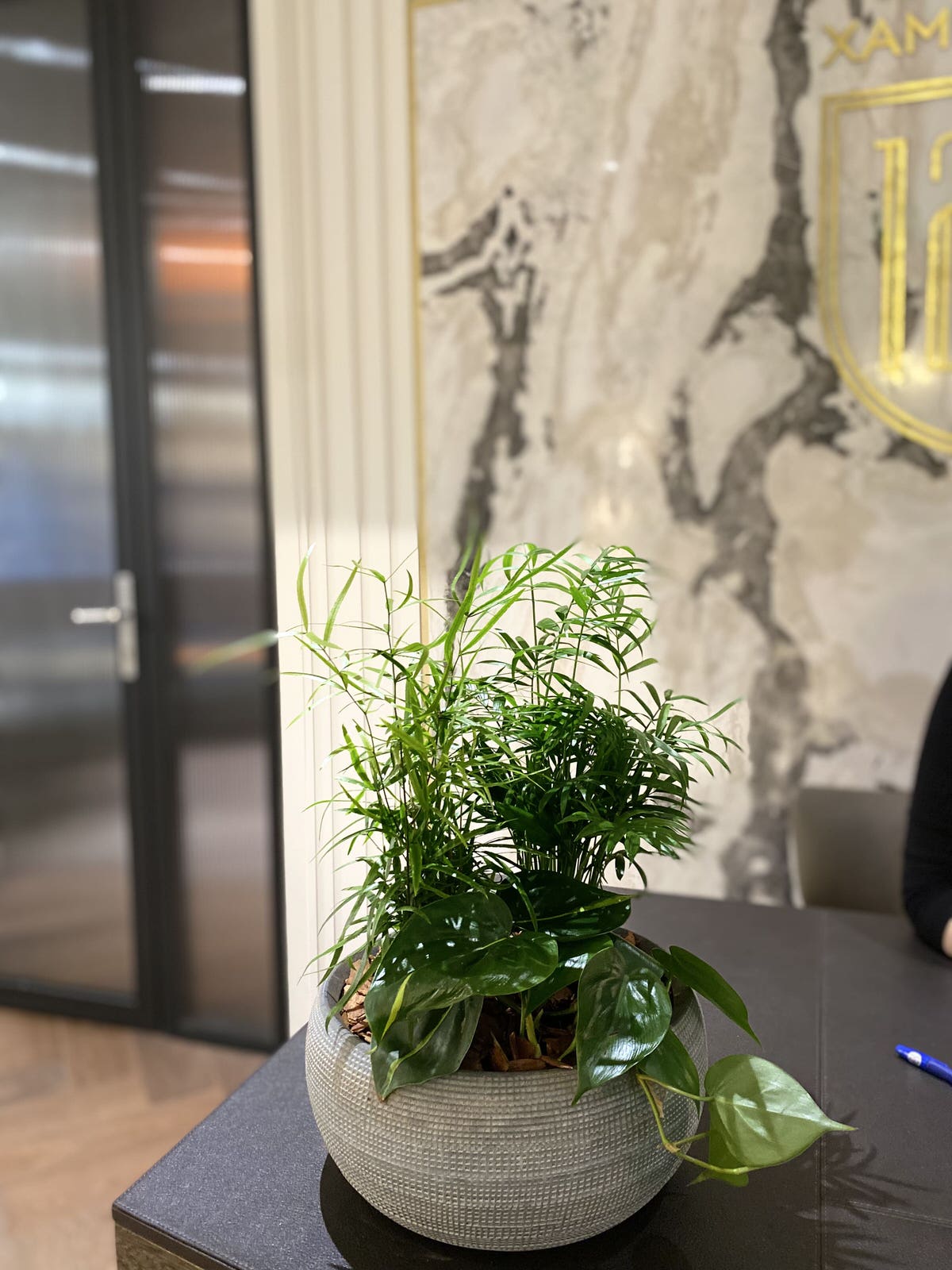 Озеленение интерьера