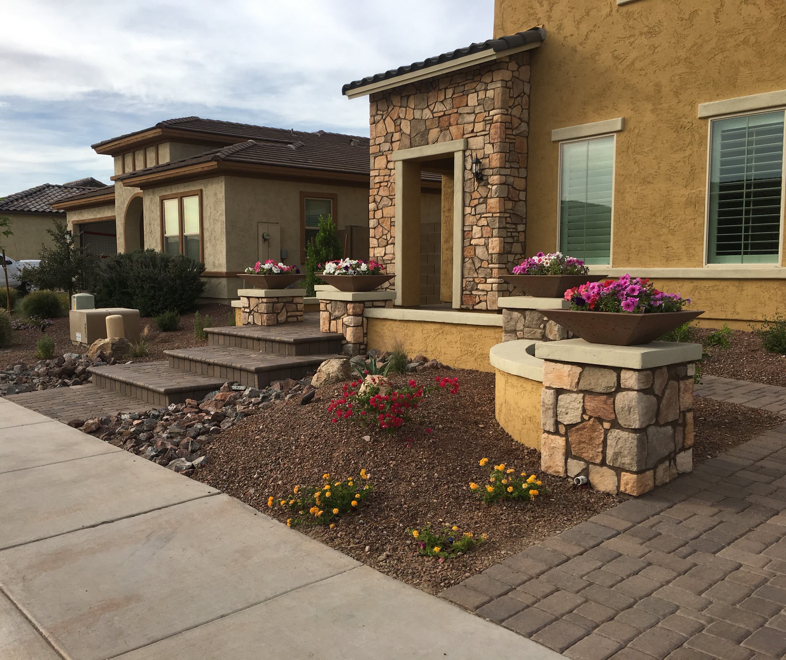 Desert Landscaping