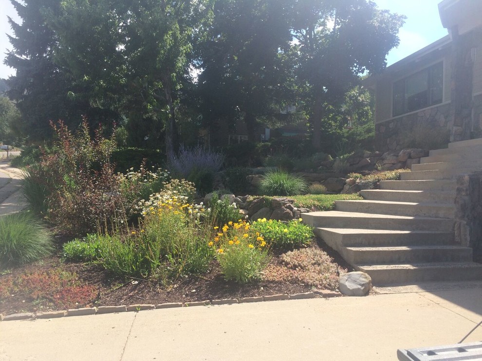 Front Yard Landscape Designs