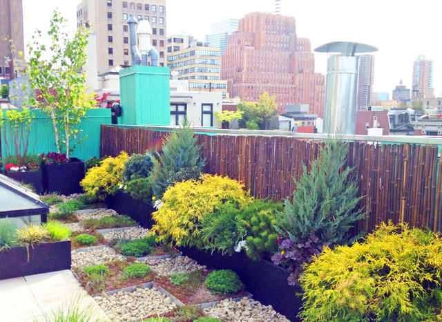 Nyc Roof Garden Paver Deck Terrace Sedum Trays Bamboo Fence