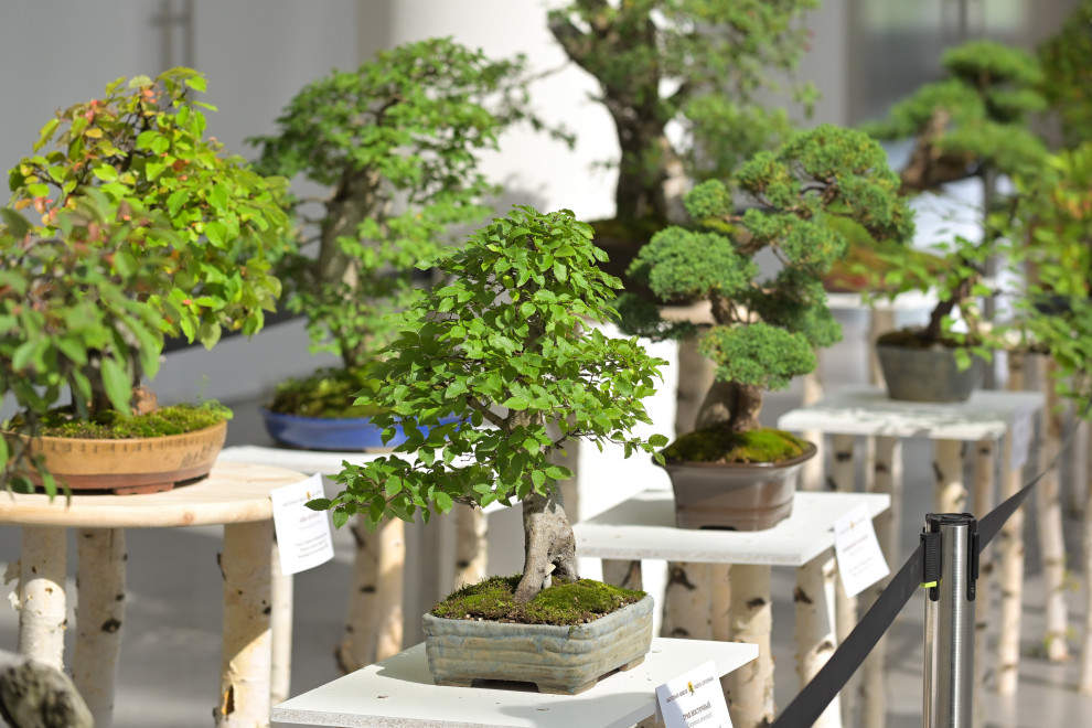 Первый Евразийский Форум ландшафтного искусства "Атмосфера"