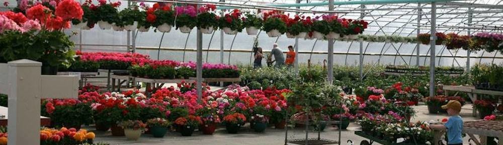 Romence Gardens Inc Portage Mi Us 49024 Romence Gardens Inc