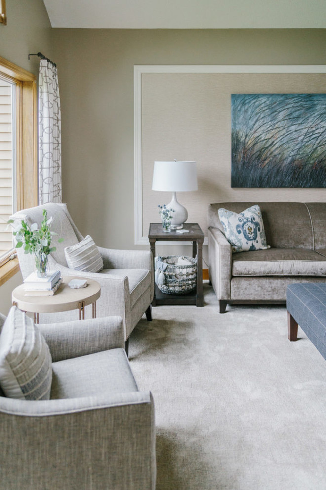 Living room - transitional living room idea in Minneapolis
