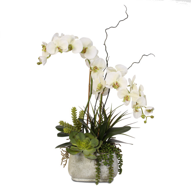 Real Touch Phalaenopsis Silk Orchids With Succulents in Stone Pot ...