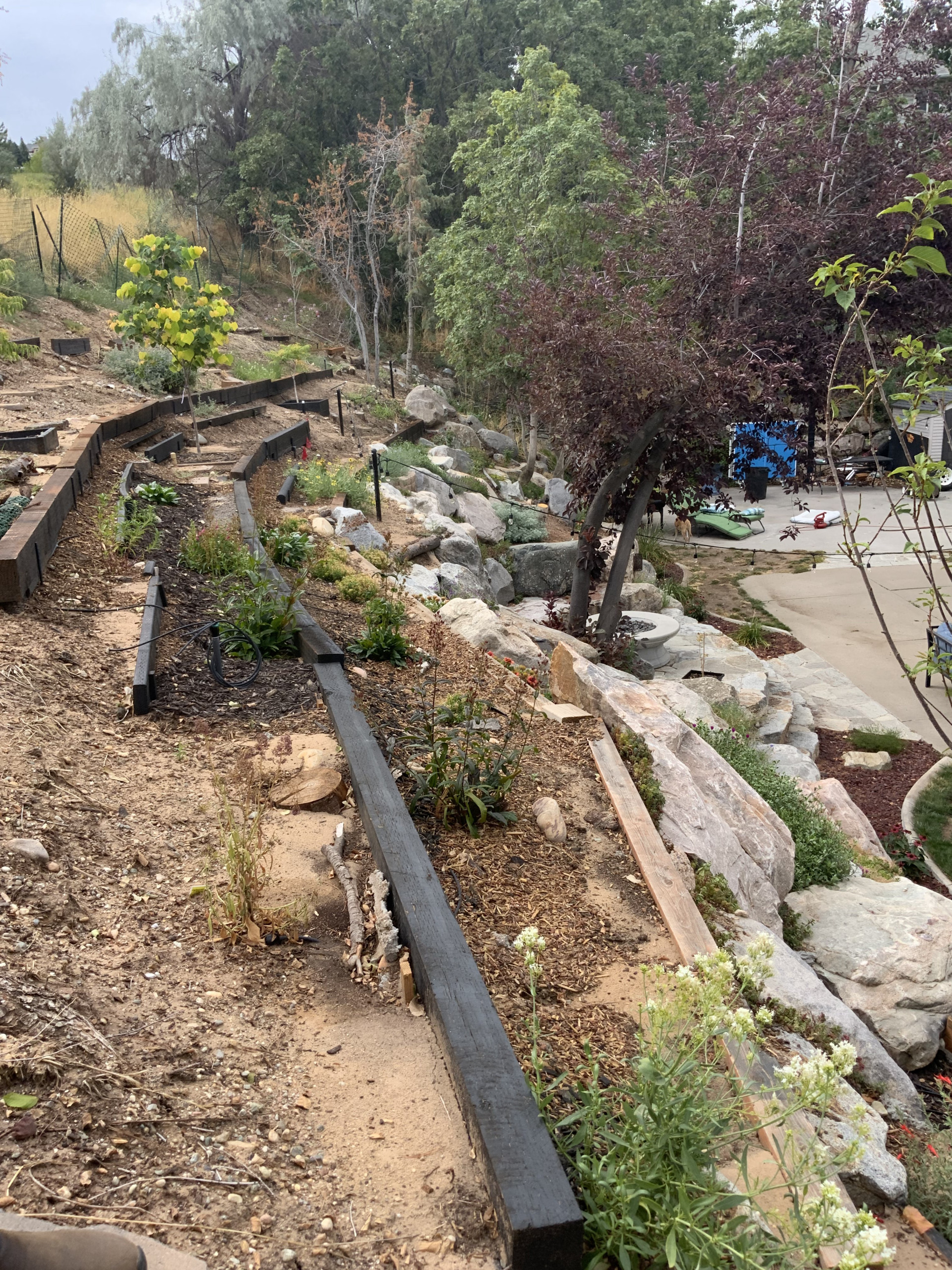 Natural Rock Garden