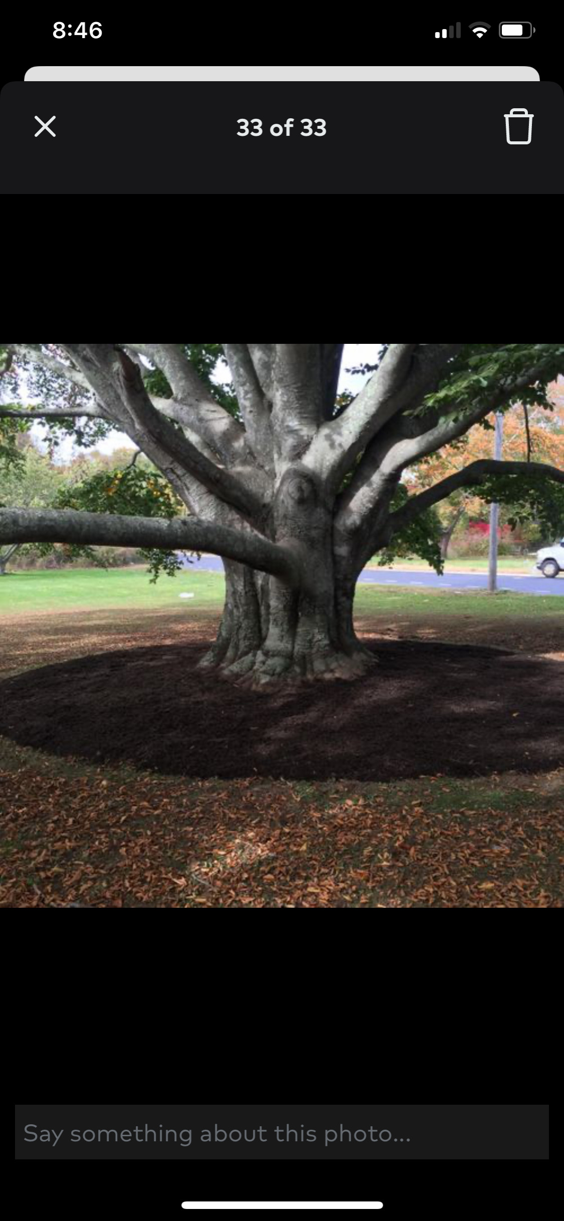 Landscaping projects