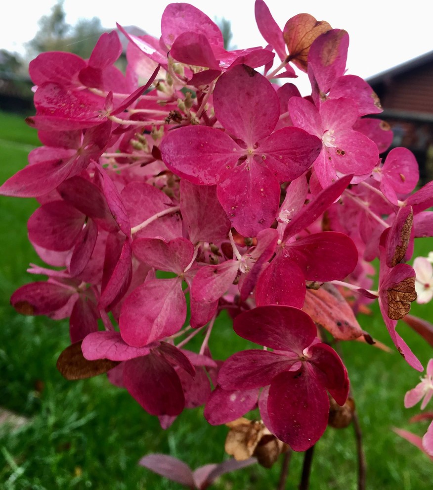 капитан Ленд