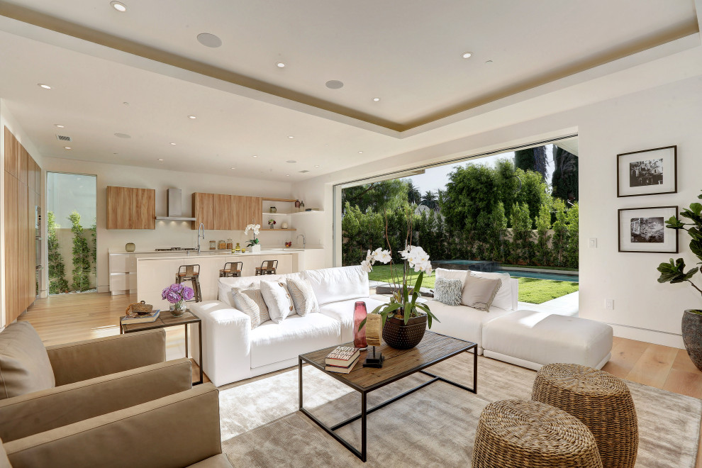 Example of a trendy open concept light wood floor, beige floor and tray ceiling living room design in Other with white walls