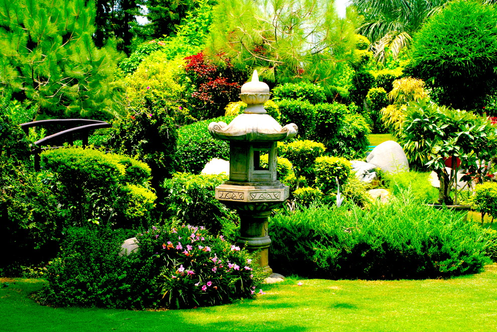 This is an example of an asian garden in Delhi.