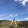 janet_a_bissett