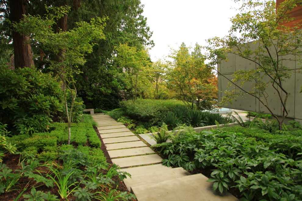 Photo of a contemporary backyard shaded garden in Vancouver.