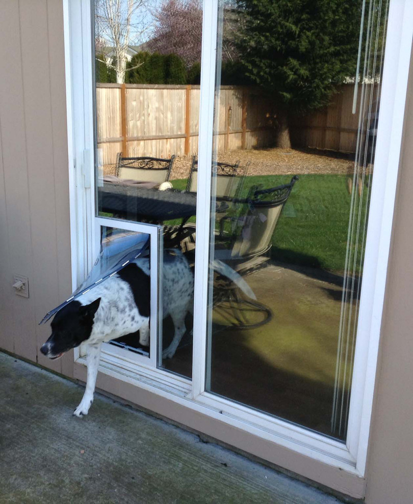 Custom Dog Doors Sacramento by The Glass Guru Houzz