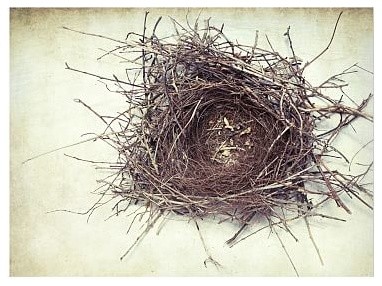 Nest by Lupen Grainne, 16 x 20", Wood Gallery, White, Mat