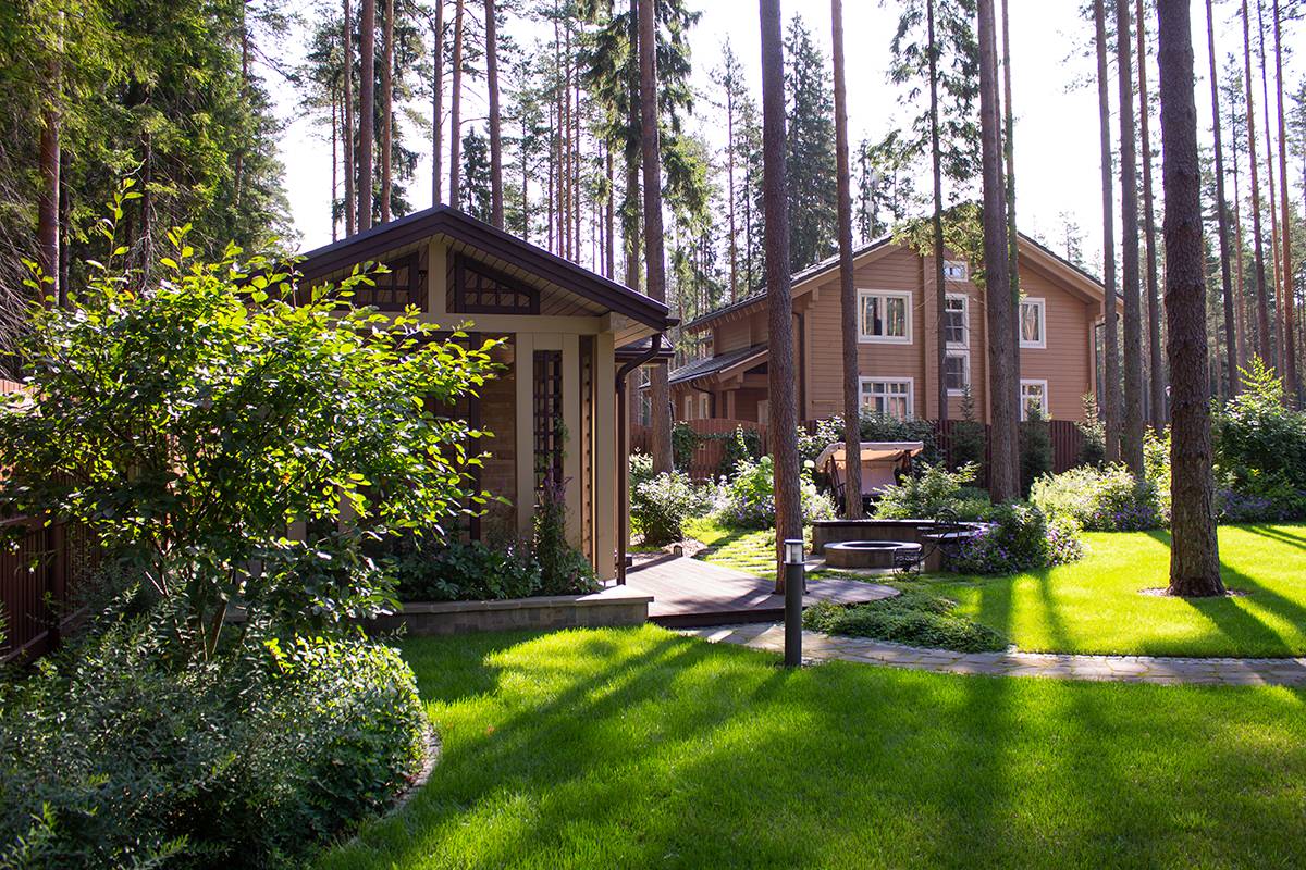 Еловая аллея