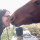 mandy_bradford73