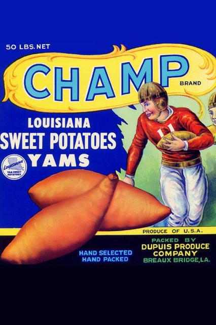 Champ Louisiana Sweet Potatoes 20x30 poster
