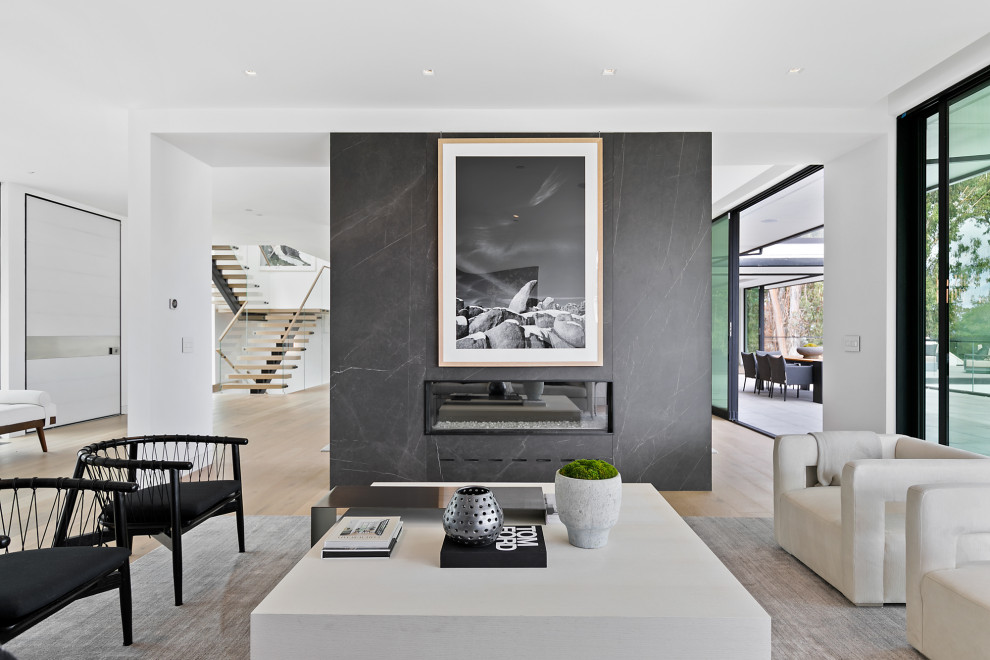Diseño de salón minimalista de tamaño medio con todas las chimeneas