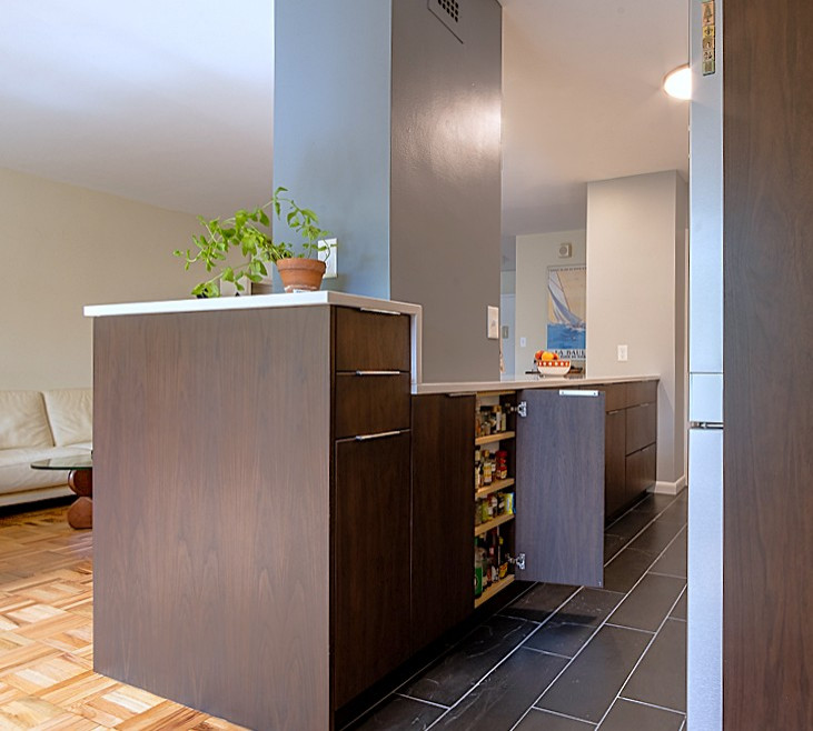 Connecticut Ave Condo Kitchen