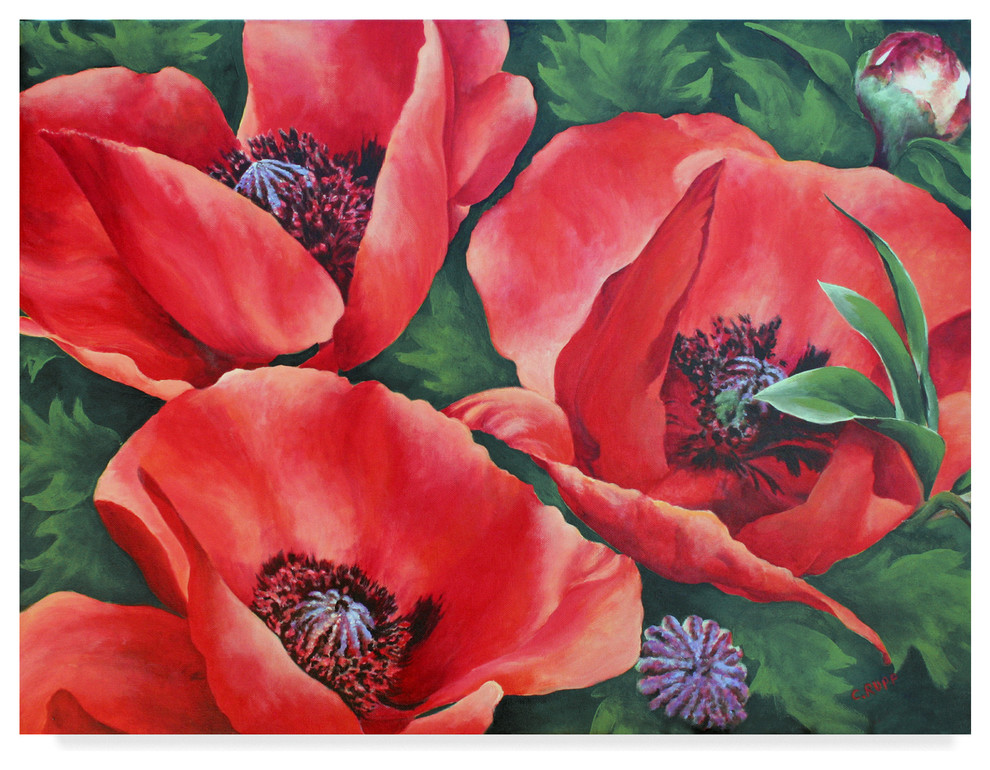 Carol J Rupp 'Bright Red Trio' Canvas Art, 47