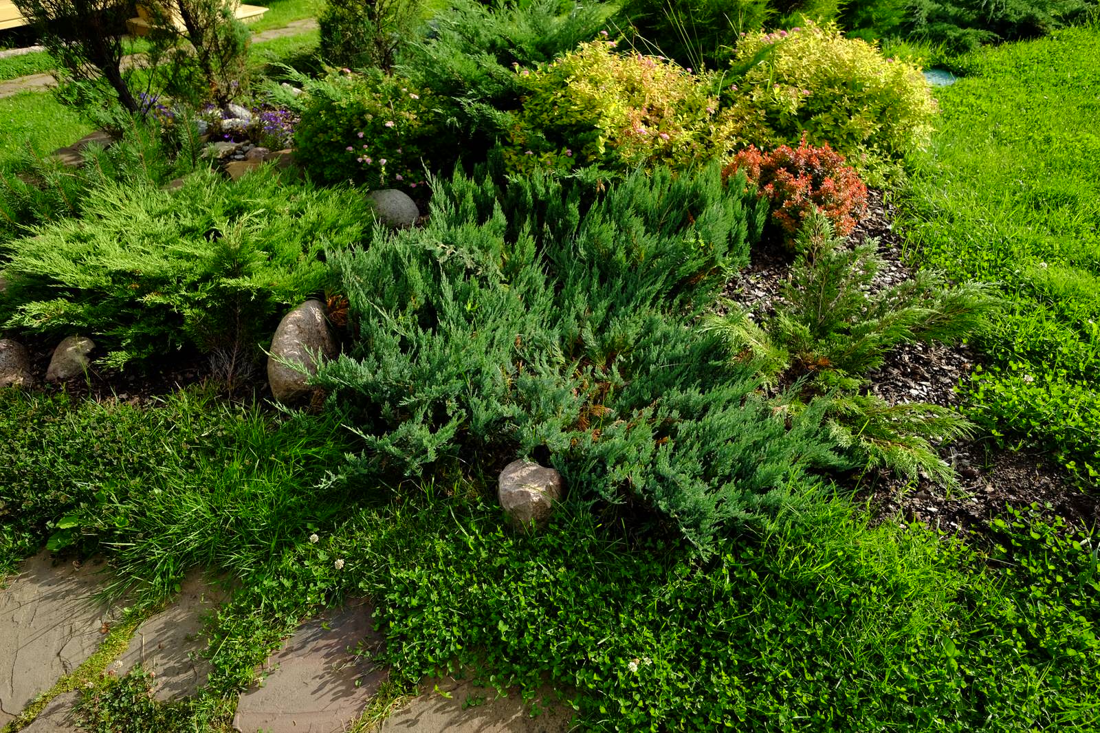 Зеркальный Ландшафтное проектирование