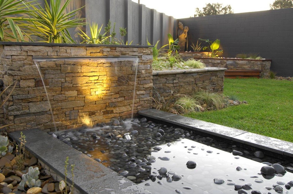 Photo of a mid-sized contemporary backyard garden in Melbourne with a water feature.