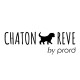 Chaton Reve
