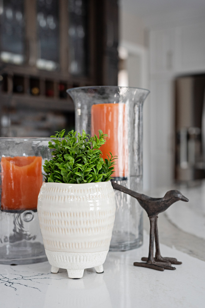Home design - transitional home design idea in Toronto