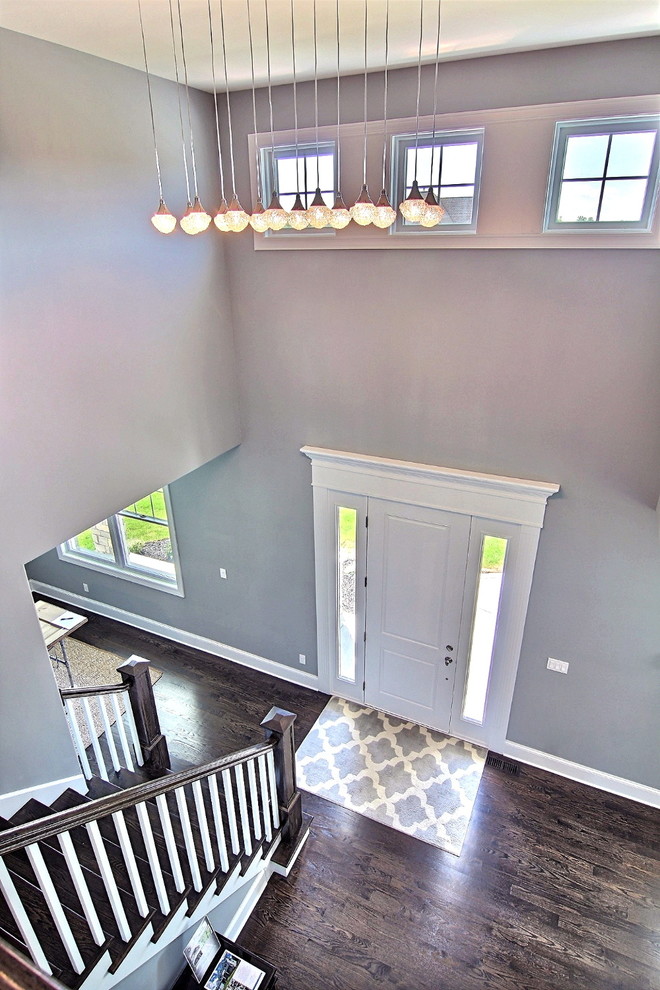 Large transitional dark wood floor foyer photo in Chicago with gray walls and a white front door