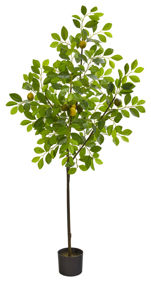61" Lemon Artificial Tree Modern Artificial Plants And Trees by