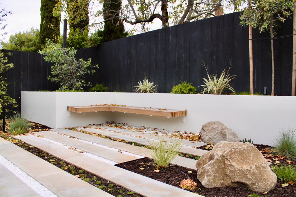 Monochromatic Burlingame Backyard