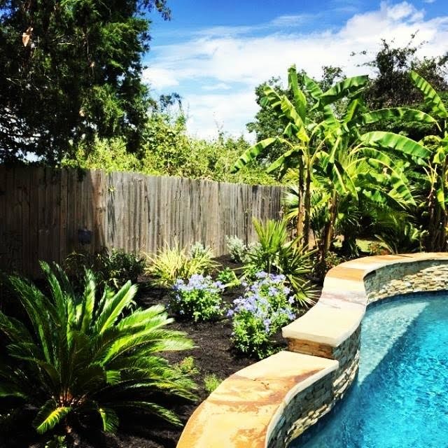 Photo of a mid-sized tropical backyard partial sun garden for summer in Houston with mulch.